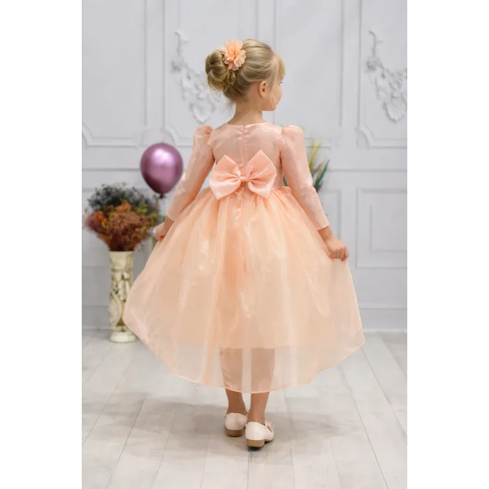 Kız Çocuk Somon Organze Kuyruklu Kabarık Elbise