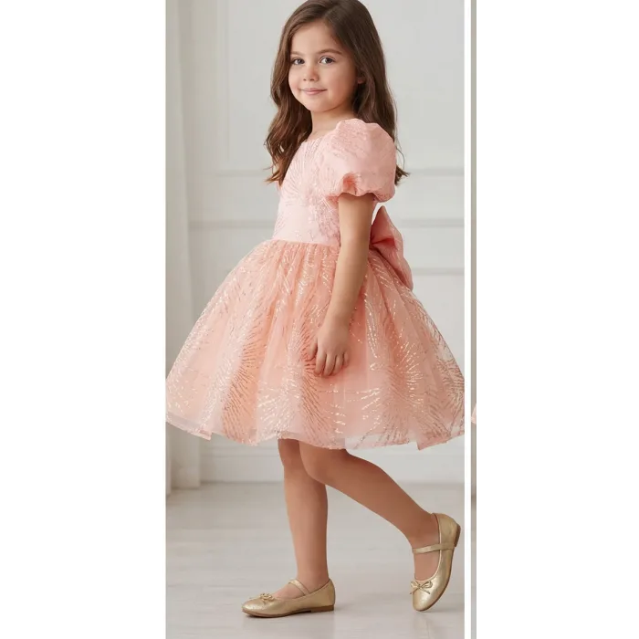 Somon Yavru Ağzı Parıltılı Kabarık Elbise