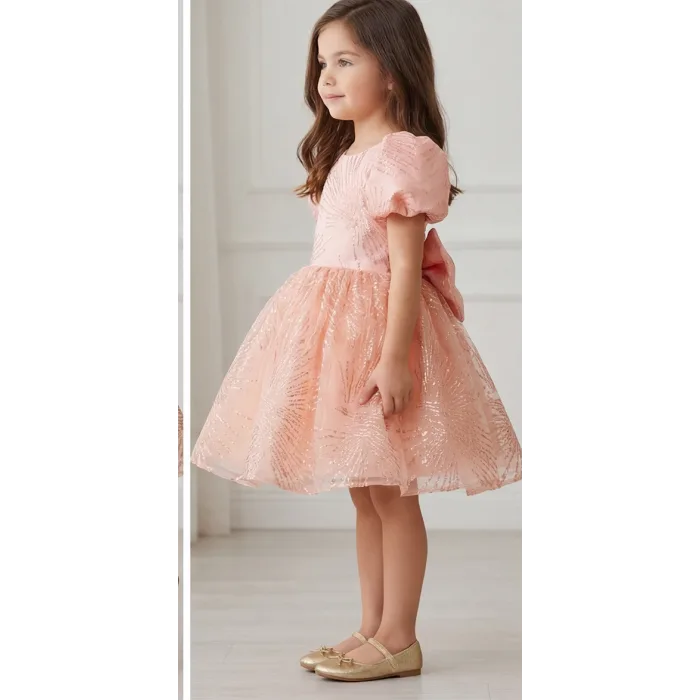 Somon Yavru Ağzı Parıltılı Kabarık Elbise