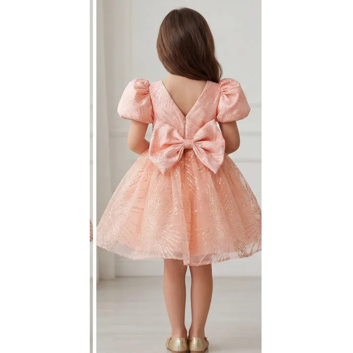 Somon Yavru Ağzı Parıltılı Kabarık Elbise