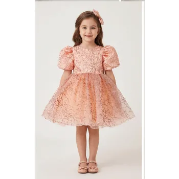 Somon Yavru Ağzı Dalgalı Parıltılı Kabarık Elbise