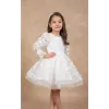 Kız Çocuk Beyaz 3D Gül Çiçek İşleme Kabarık Prenses Kol Elbise