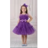 Kız Çocuk Mor Şeffaf Üst Ön Fiyonk Detaylı Kemerli Kabarık