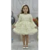 Kız Çocuk Krem Gül Desenli Kabarık Elbise