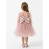 Kız Çocuk Pudra Şeffaf Üstlü Flok Tüllü Kabarık Elbise