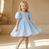 Bebe Mavisi Parıltılı Kısa Kol Kabarık Elbise Abiye Gelinlik