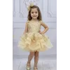 Kız Çocuk Bej Boncuku Payetli Kuyruklu Elbise
