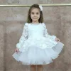 Kız Çocuk Beyaz 3D Gül Çiçek İşleme Kabarık Prenses Kol Elbise