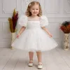 Kız Çocuk Beyaz Güllü incili Etek Detaylı Abiye Elbise