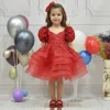 Kız Çocuk Kırmızı Boncuklu Payetli Kabarık Elbise