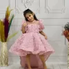 Kız Çocuk Pudra Gül 3D Boyutlu Kuyruklu Kısa Kol Elbise Abiye