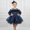 Kız Çocuk Lacivert Parıltılı Üstü Tül Detaylı Kabarık Elbise