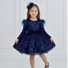 Kız Çocuk Lacivert Payetli Tüy Detaylı Uzun Kol Bisiklet Yaka Grenli Kabarık Elbise