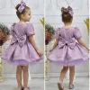Kız Çocuk Lila Kısa Balon Kol Kabarık Elbise