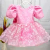 Kız Çocuk Pembe Çiçekli Parıltılı Kabarık Elbise