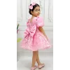 Kız Çocuk Pembe Çiçekli Parıltılı Kabarık Elbise