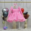 Kız Çocuk Pembe Şeffaf Gül Desenli Uzun Kol Kabarık Elbise