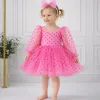 Kız Çocuk Pembe Şeffaf Üstlü Flok Tüllü Kabarık Elbise
