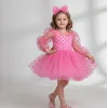 Kız Çocuk Pembe Şeffaf Üstlü Flok Tüllü Kabarık Elbise
