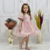 Kız Çocuk Pudra Boncuk Etekli Kabarık Elbise