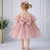Kız Çocuk Pudra Flok Tüllü Prenses Kol Kalp Detaylı Kabarık Elbise
