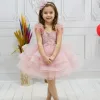 Kız Çocuk Pudra ön dantel tüy detaylı grenli Kabarık elbise