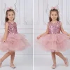 Kız Çocuk Pudra Payetli Sıfır Kol Grenli Kabarık Parıltılı Elbise