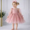 Kız Çocuk Pudra Şeffaf Üstlü Flok Tüllü Kabarık Elbise