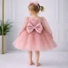 Kız Çocuk Pudra Şeffaf Üstlü Flok Tüllü Kabarık Elbise