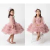 Kız Çocuk Pudra Yaka İşlemeli Fiyonklu Etek Fırfırlı Kabarık Elbise