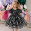 Siyah Beyaz Noktalı Parıltılı Kabarık Elbise