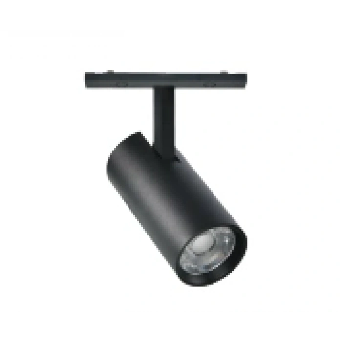 Ray Spot Black Magfit