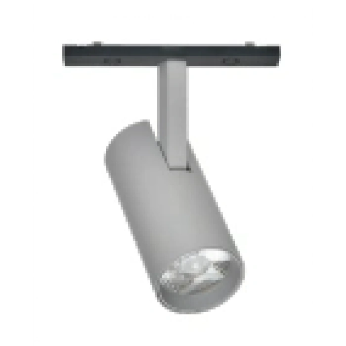 Ray Spot Gray Magfit