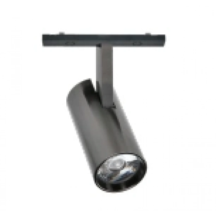 Ray Spot Platin Magfit