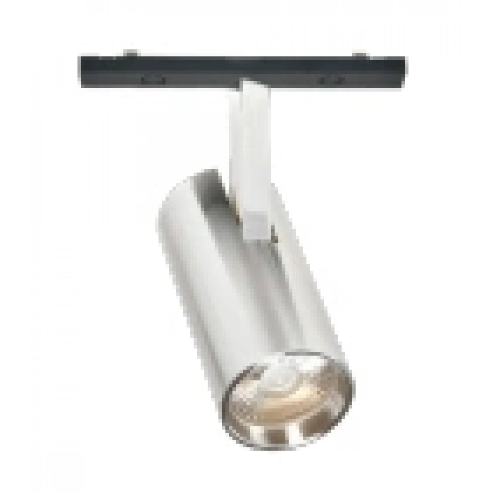 Ray Spot Silver Magfit