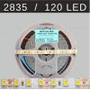 2835 Şerit Led 12V 120 Led