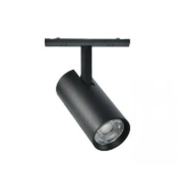 Ray Spot Black Magfit