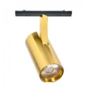 Ray Spot Gold Magfit