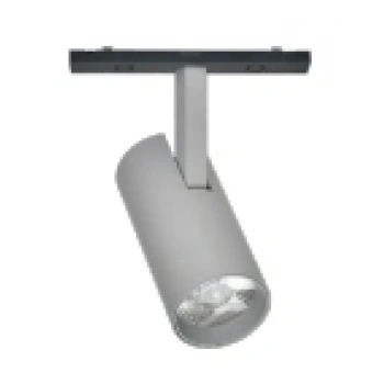 Ray Spot Gray Magfit