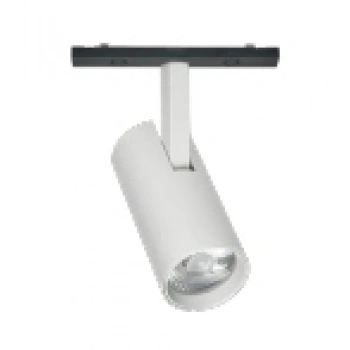 Ray Spot White Magfit