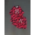 Bape Unisex Oversize Şortlu Takım - Kırmızı