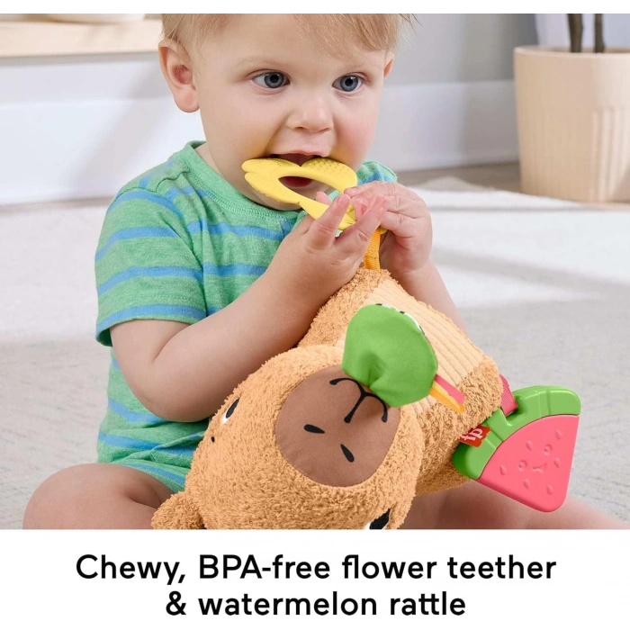 Fisher Price Yumuşak Kapibara Peluş HYR54