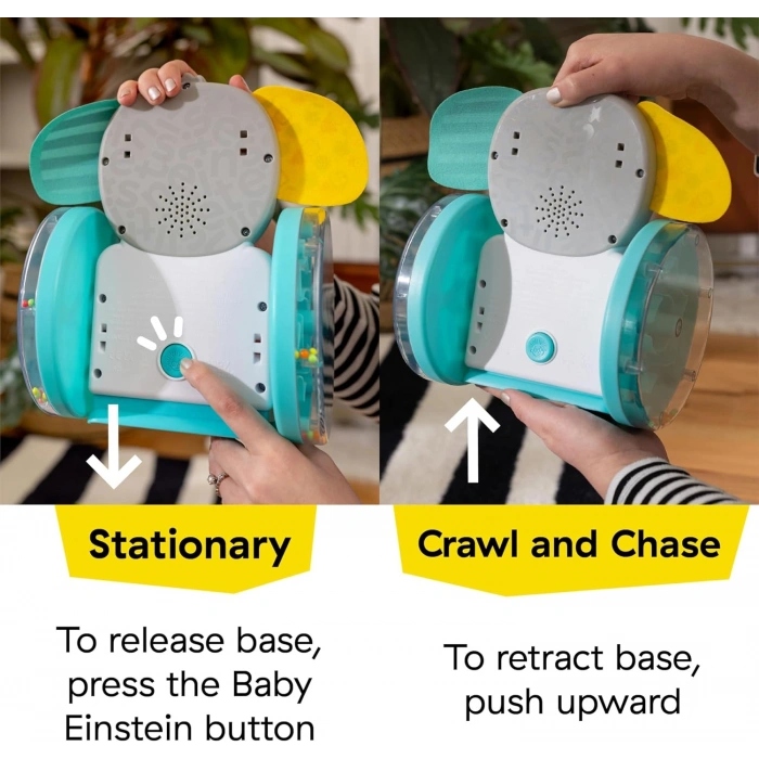 Baby Einstein Chase & Tap Earl Crawling Bebek Oyuncağı, Ayna Ve Müzikli, 6 Aylık Ve Daha Büyük Bebekler İçin