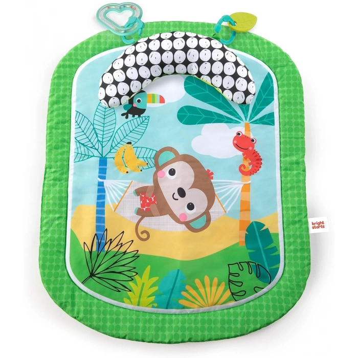 Bright Starts Bebek Aktivite Minderi Oyun Halısı