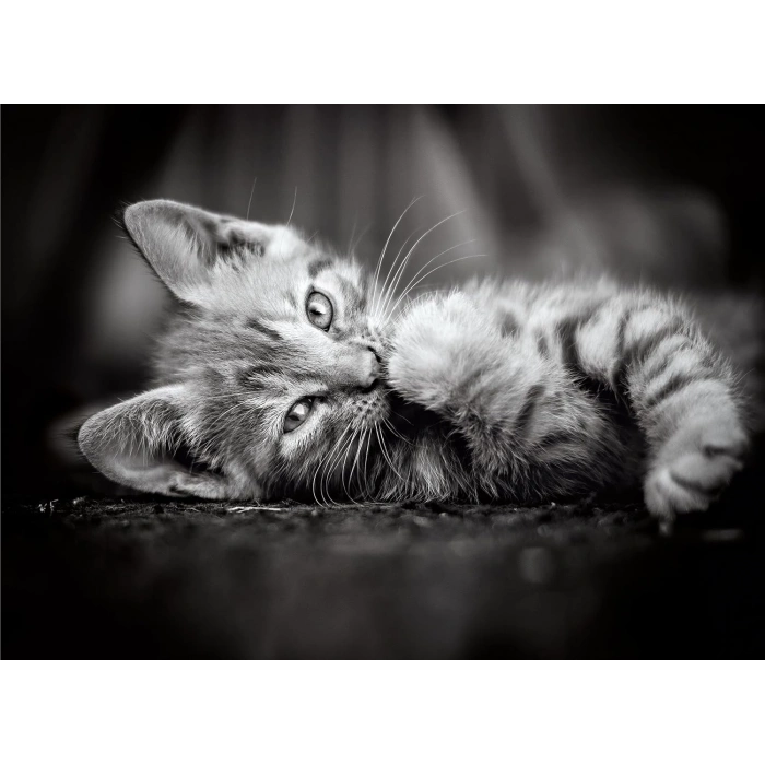 Clementoni 39422 Kedi Yavruları HQC 1000 Parça Yapboz