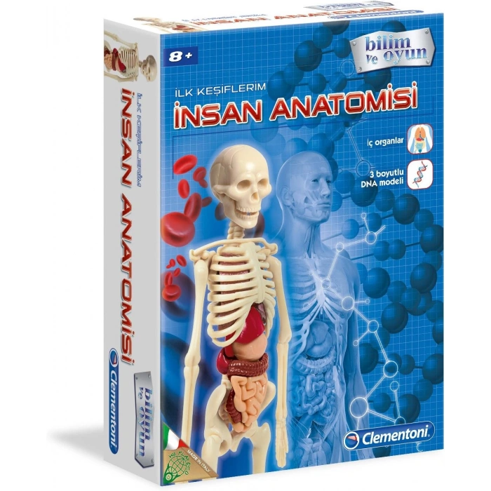 Clementoni 64297 İlk Keşiflerim İnsan Anatomisi