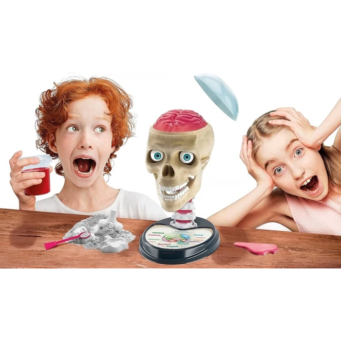 Clementoni Bilim ve Oyun Çılgın Anatomi Oyuncak 64322