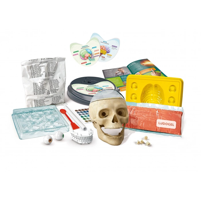 Clementoni Bilim ve Oyun Çılgın Anatomi Oyuncak 64322