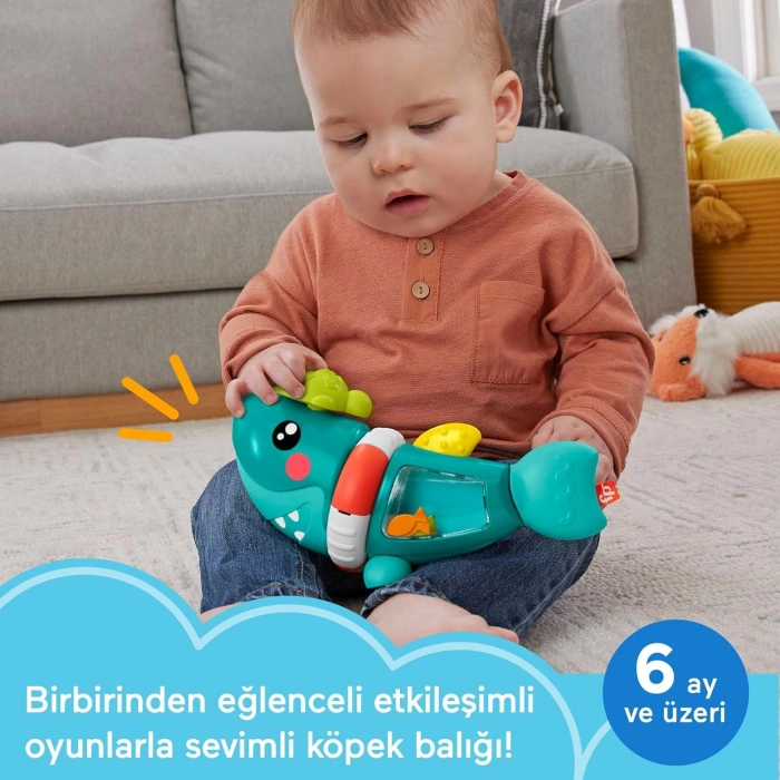 Fisher Price Hareketli Köpek Balığı HJP01