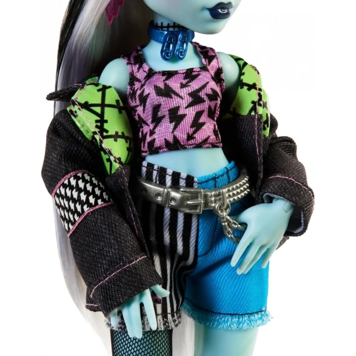 Monster High Acayip Havalı Arkadaşlar Frankie Stein HXH73
